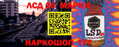 крисы Нальчик