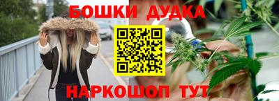 крисы Нальчик