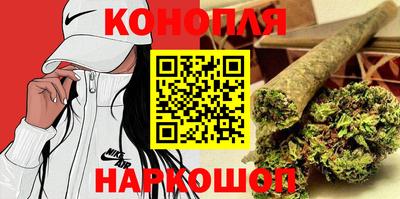 крисы Нальчик