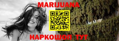 крисы Нальчик