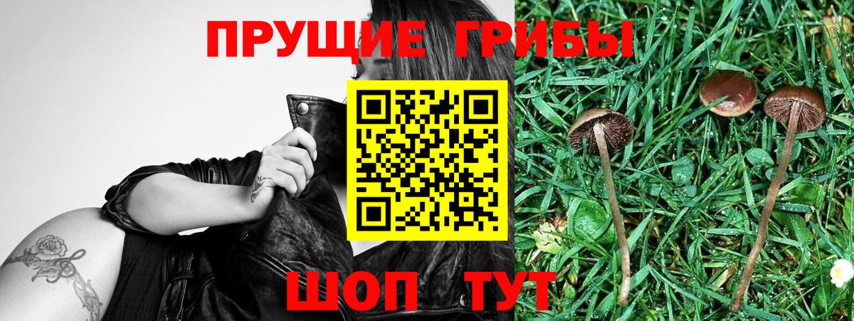 Троицк  Галлюциногенные грибы мицелий  Галлюциногенные грибы Magic Shrooms  Вход с VPN 