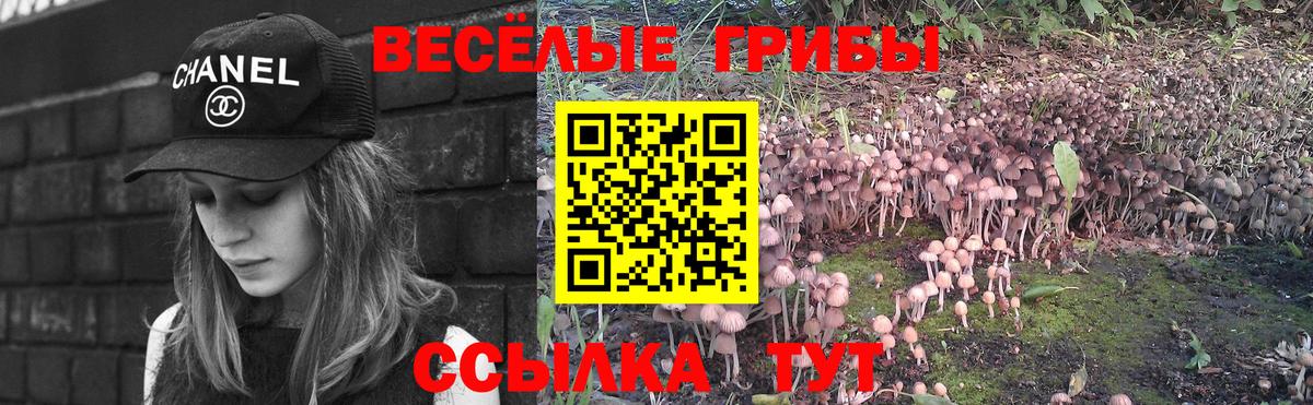 Галлюциногенные грибы мухоморы Троицк